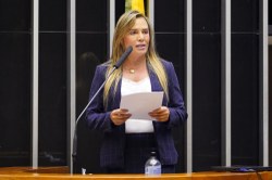 Coordenadora da bancada feminina defende deputada Luisa Canziani contra violência política e institucional