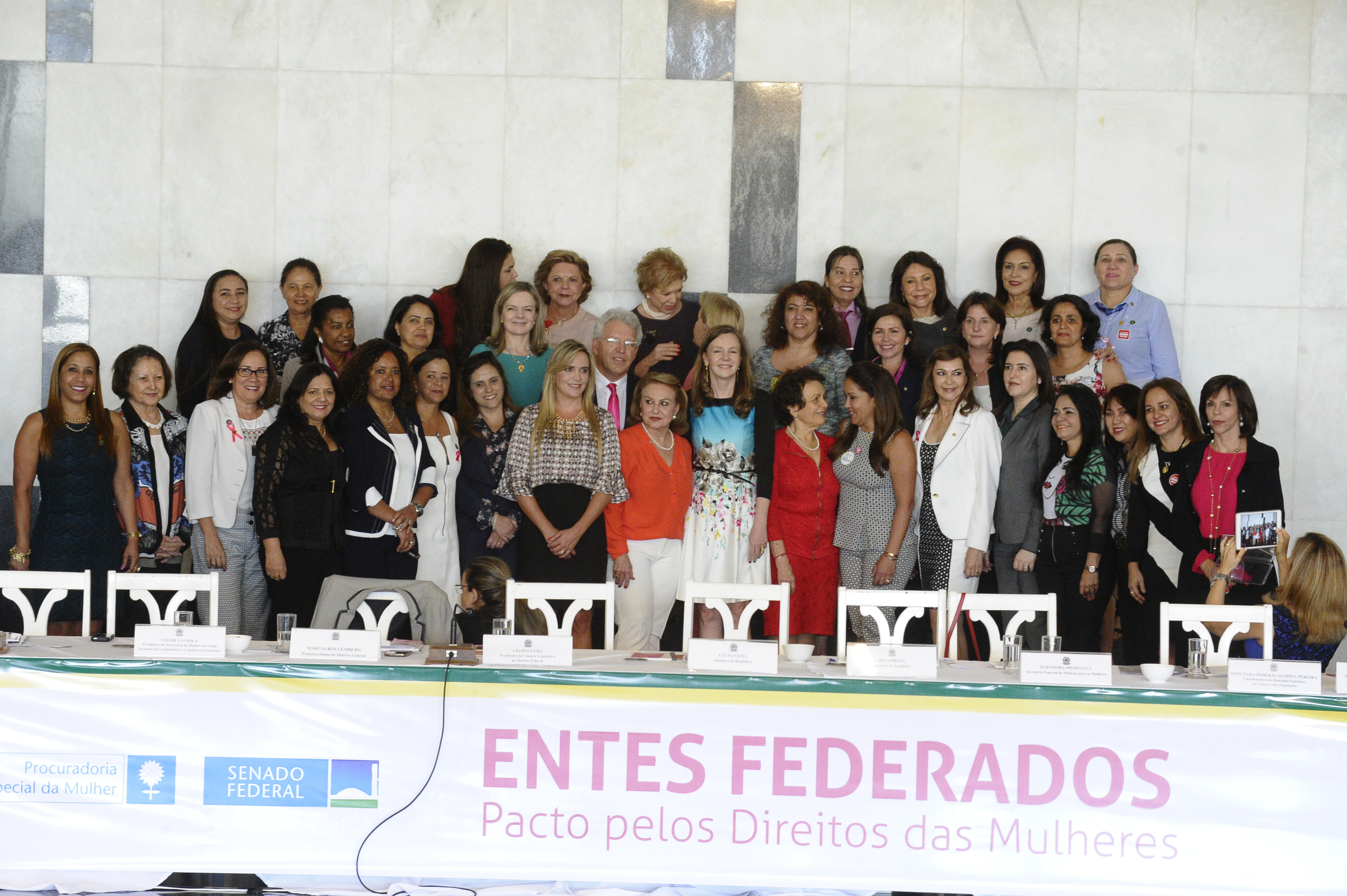 Dâmina participa de evento em defesa dos direitos das mulheres na Câmara Federal