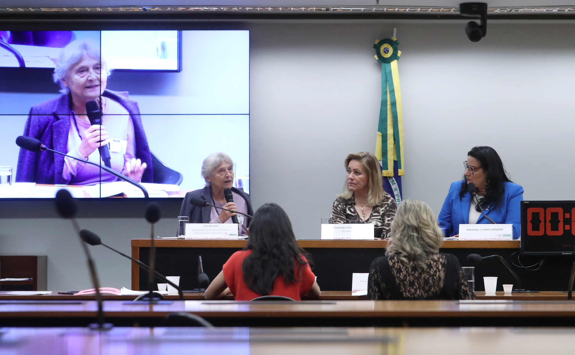 Debatedores apontam que efetivação da Lei Maria da Penha depende de rede de proteção