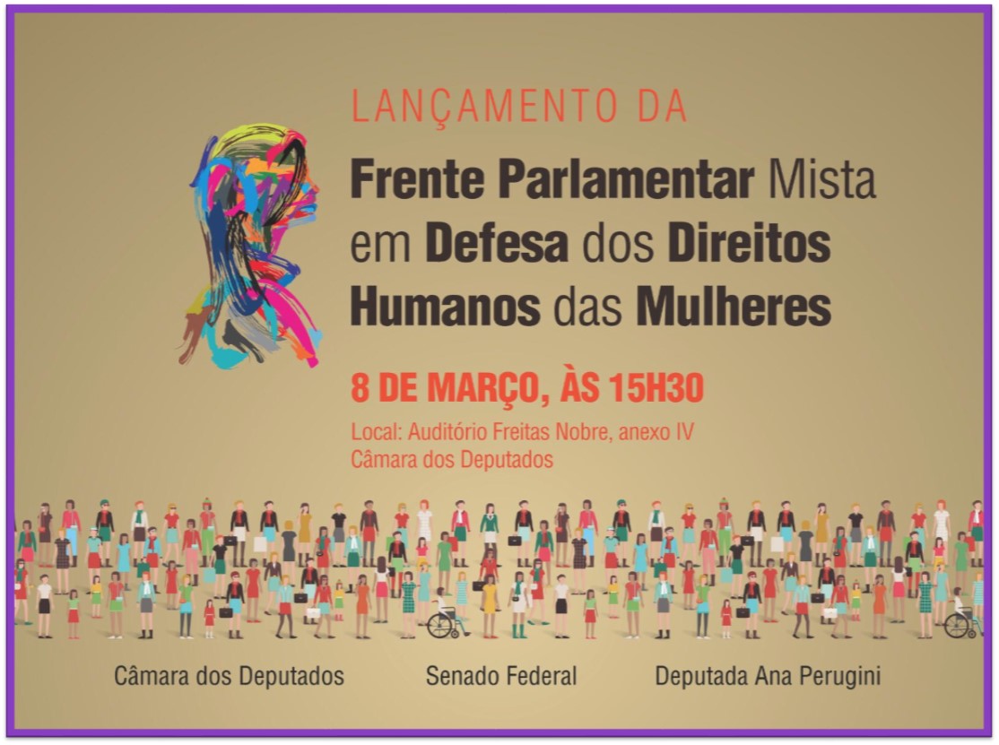 Deputada Ana Perugini lança em Brasília Frente em Defesa dos Direitos Humanos das Mulheres