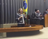 Deputada Gorete Pereira aprova alíquota menor para confecção
