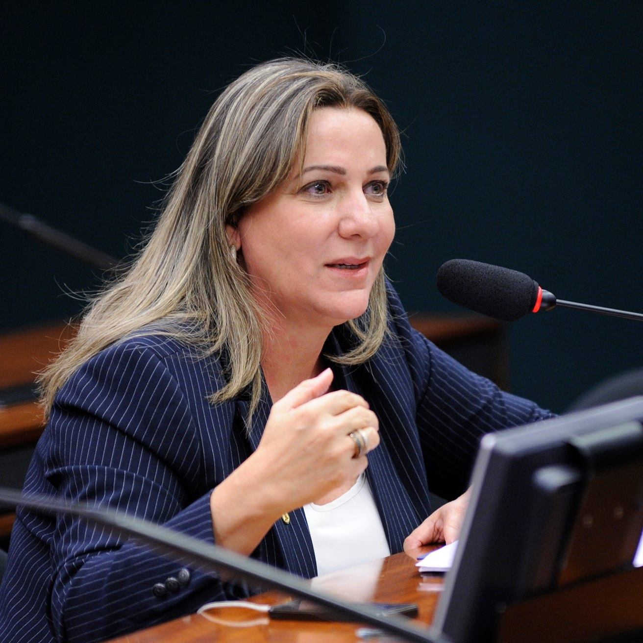 Dulce Miranda representa a Câmara dos Deputados em missão do TO ao Japão