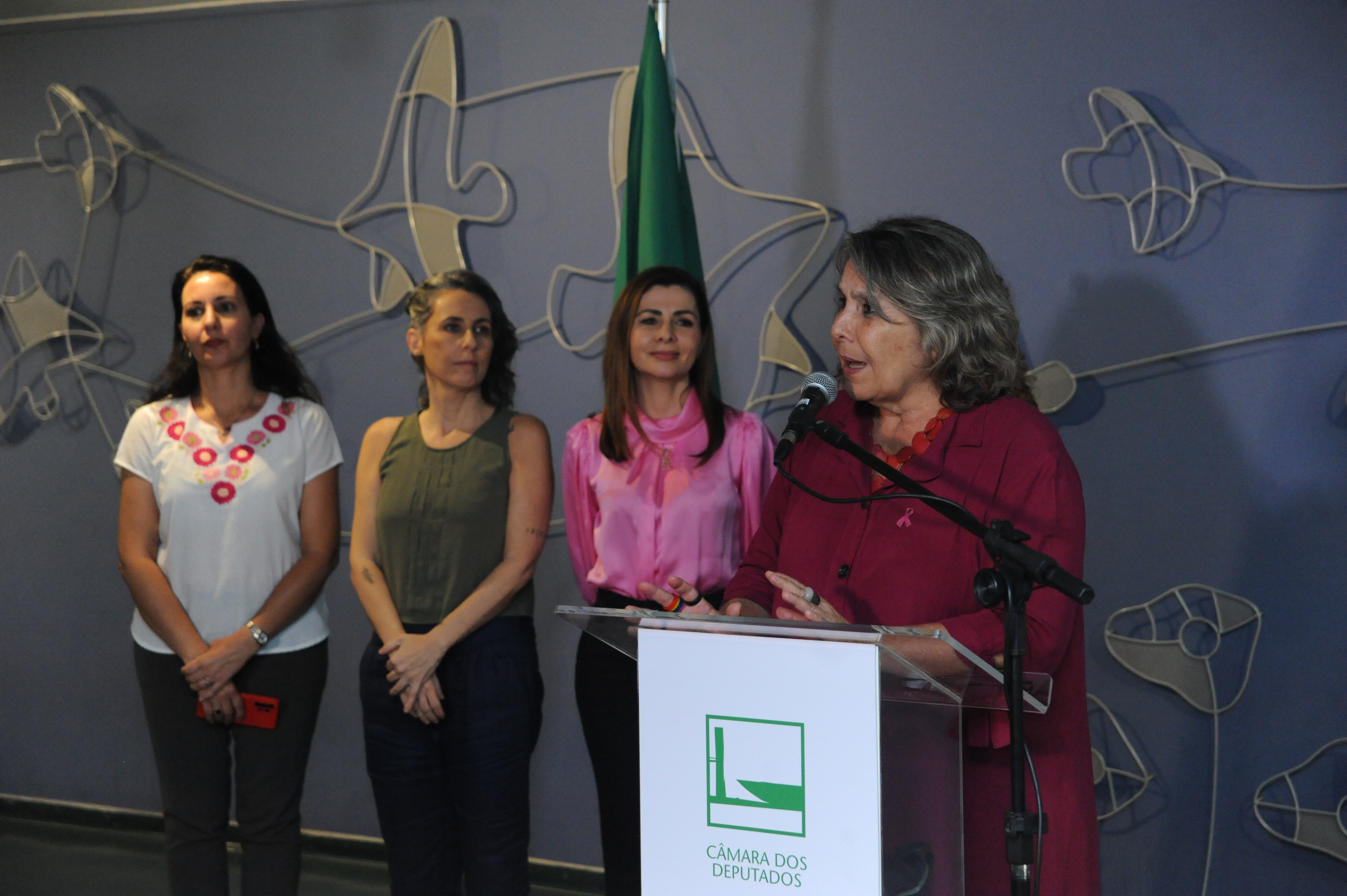 Exposição e manifesto na Câmara celebram os 90 anos do voto feminino no Brasil