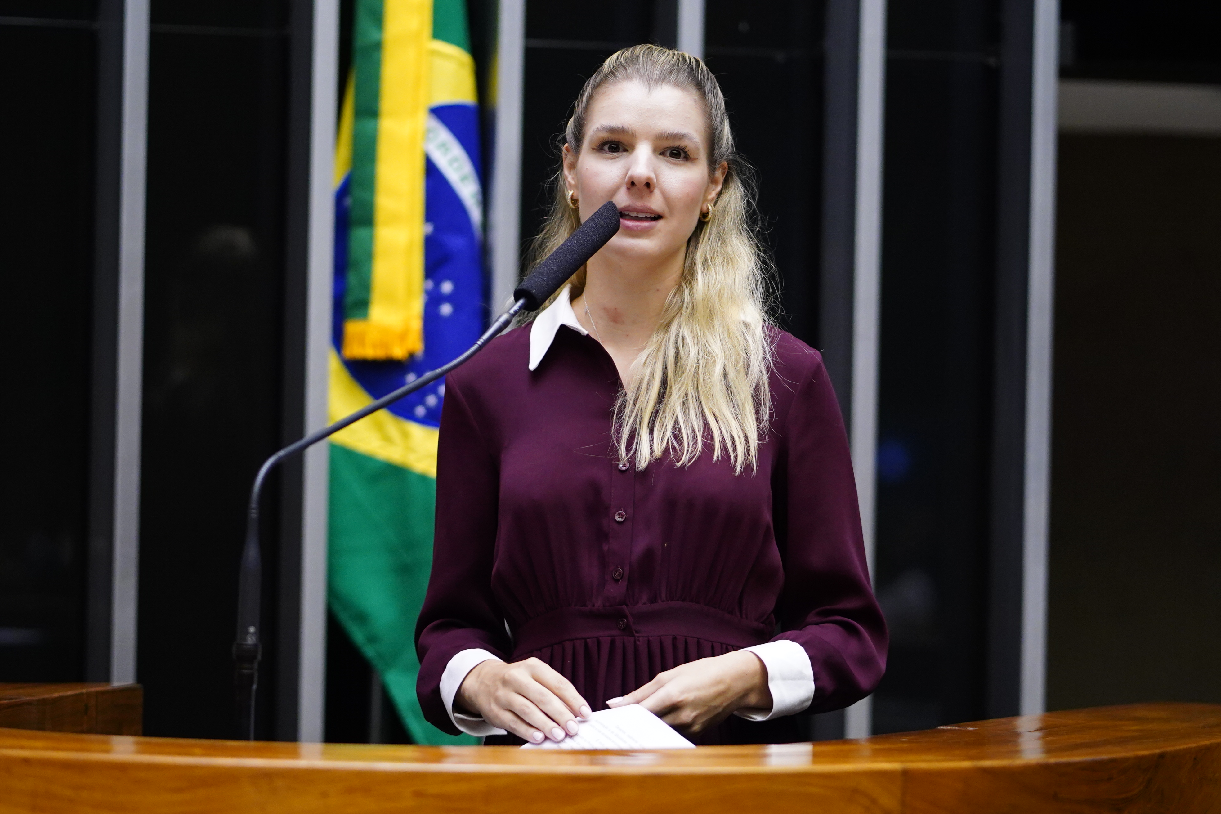 Foco da bancada feminina é aumentar a autonomia financeira das mulheres