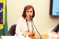 Na Comissão de Educação, deputada Dorinha emplaca emendas na LDO