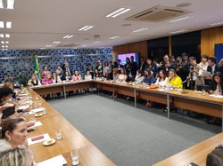 No comando da Secretaria da Mulher Dorinha reúne bancada feminina da Câmara 