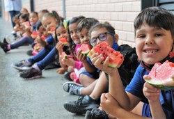 Nova lei prioriza mulher agricultora na venda de alimento para merenda escolar