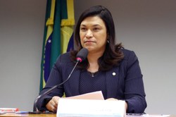 Procuradora da Câmara diz que violência política impede maior representatividade feminina no Parlamento 