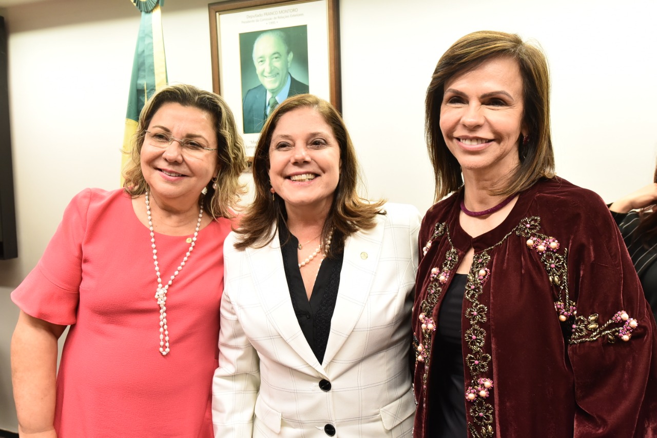 Professora Dorinha é eleita líder da bancada feminina na Câmara para um mandato de dois anos