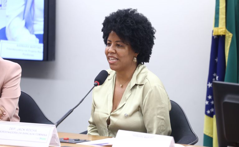 Seminário "Quem são as mulheres negras que o Brasil não protege" 