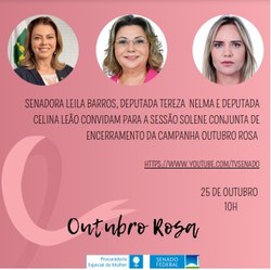 Sessão conjunta do Congresso debate importância do Outubro Rosa na prevenção e cura do câncer entre mulheres 