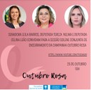 Sessão conjunta do Congresso debate importância do Outubro Rosa na prevenção e cura do câncer entre mulheres 