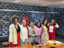 Bancada Feminina discute impacto para as mulheres de proposta de Código Eleitoral que tramita no Senado