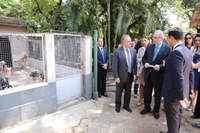 Câmara vai priorizar projeto que concede anistia a entidades protetoras de animais