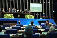 Presidente da Câmara destaca contribuição do Parlamento para a democracia