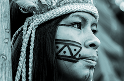 07 de fevereiro: Dia Nacional de Luta dos Povos Indígenas
