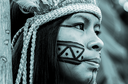 7 conteúdos sobre os Povos Indígenas