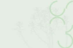 Inscrições abertas para seleção de alunos especiais do Mestrado Profissional em Poder Legislativo