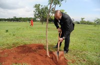 Câmara ajuda a reconstruir áreas verdes destruídas por incêndios