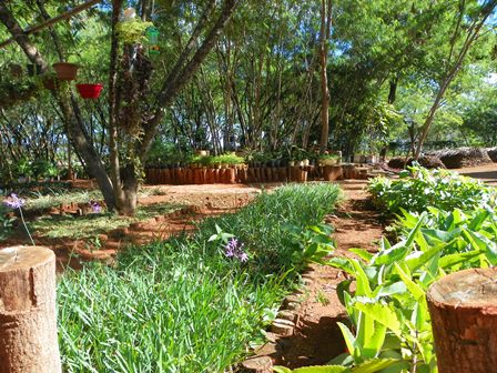 Câmara dos Deputados comemora Dia das Crianças com ação socioambiental