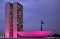Congresso Nacional participa do Outubro Rosa