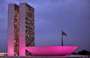 Congresso Nacional participa do Outubro Rosa