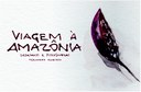 Viagem à Amazônia: Desenhos e Fotografias