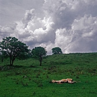 natureza ainda é bela