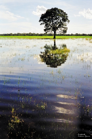 natureza ainda é bela