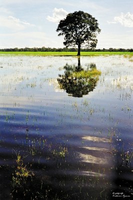 natureza ainda é bela