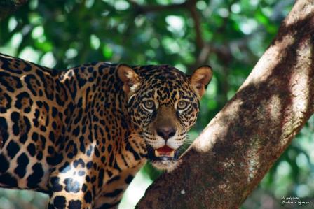 natureza ainda é bela