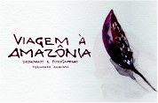 Viagem à Amazônia: Desenhos e Fotografias