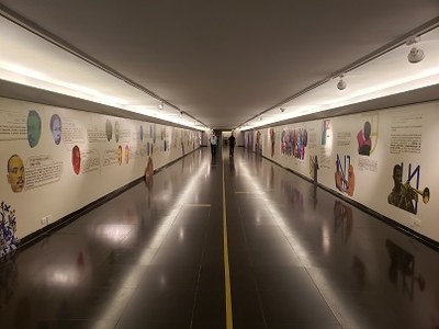 A História do Brasil tem cor 4