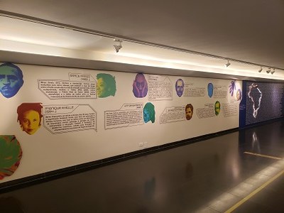 A História do Brasil tem cor 5