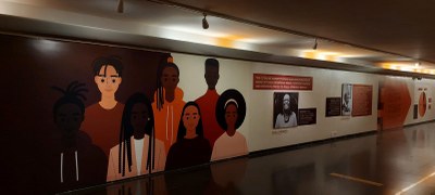 Afirmativas! A história das cotas no Brasil