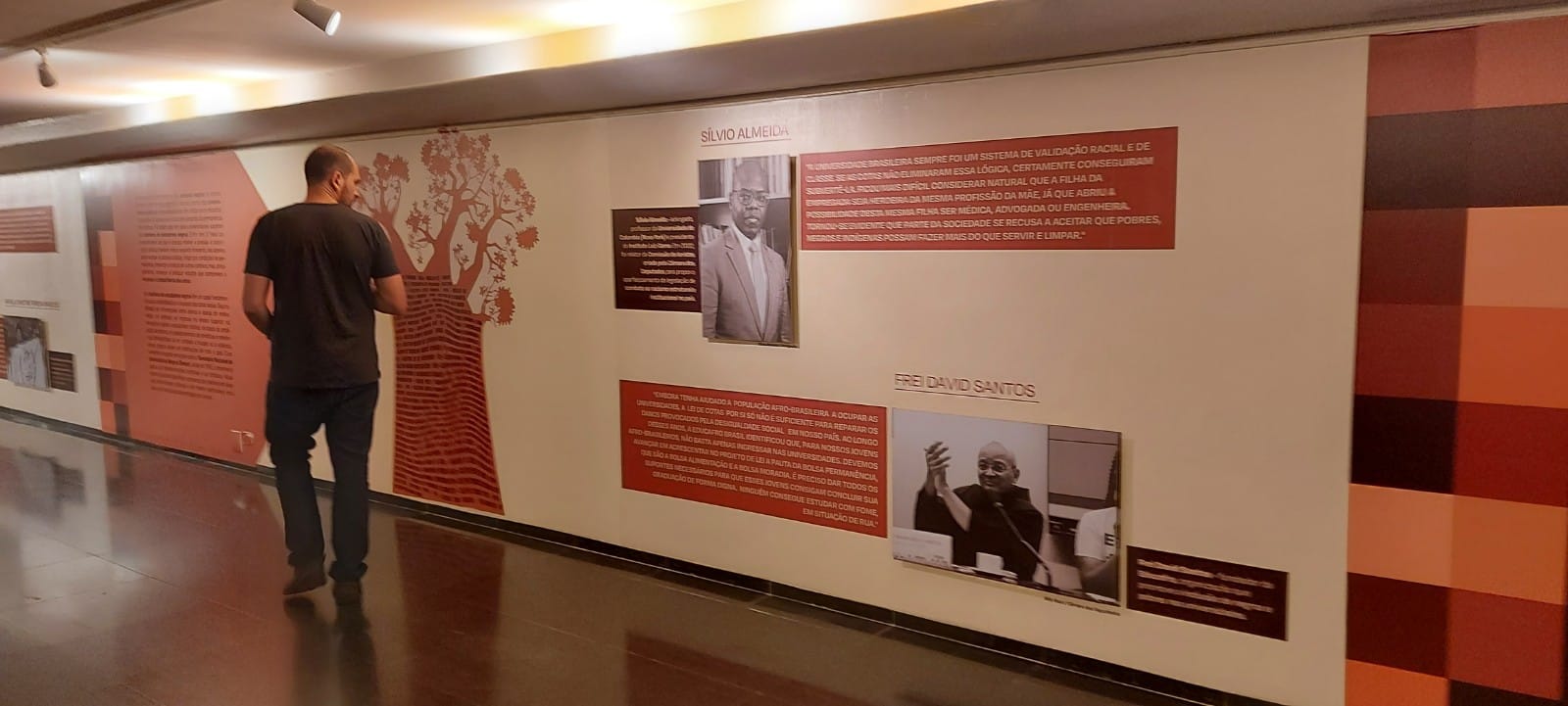 Afirmativas! A história das cotas no Brasil