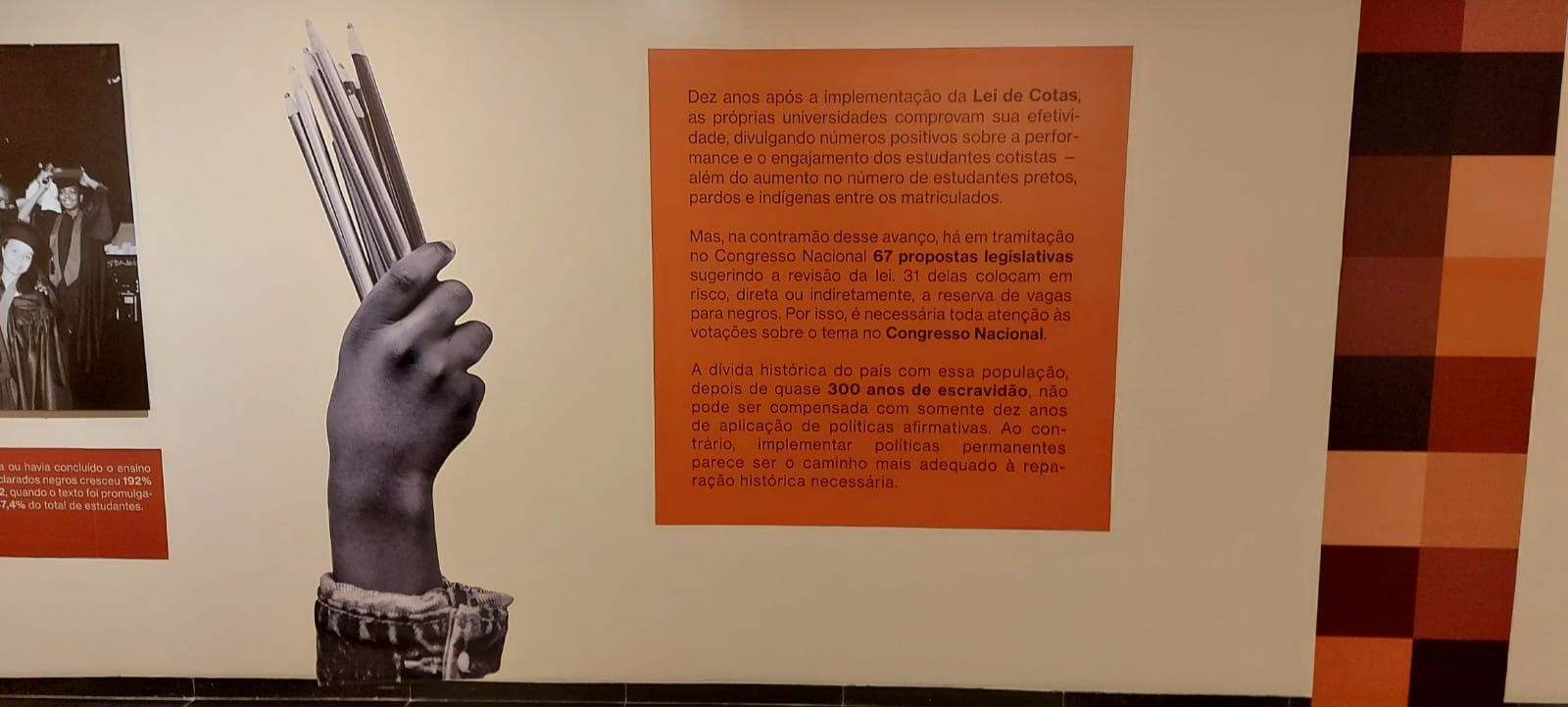 Afirmativas! A história das cotas no Brasil