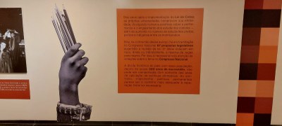 Afirmativas! A história das cotas no Brasil