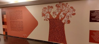 Afirmativas! A história das cotas no Brasil