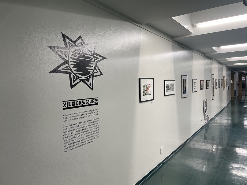 Histórias xilogravadas peq 5