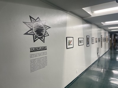 Histórias xilogravadas peq 5