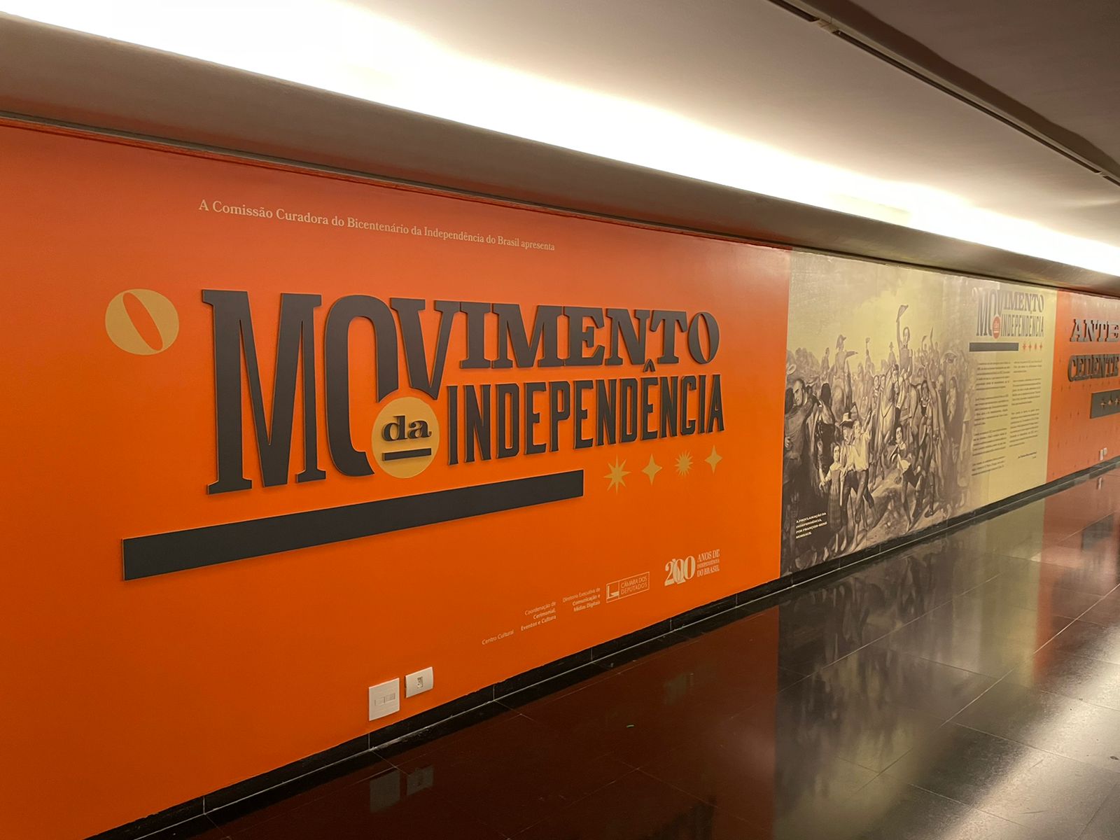 O Movimento da Independência 1