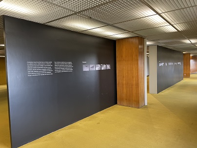 Transgressão da matéria 5