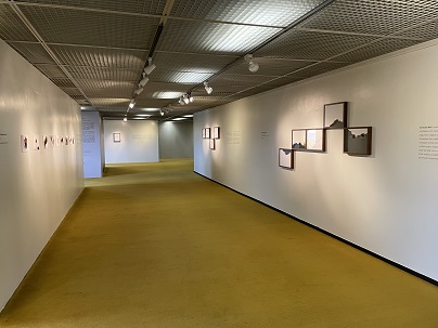 Transgressão da matéria 6