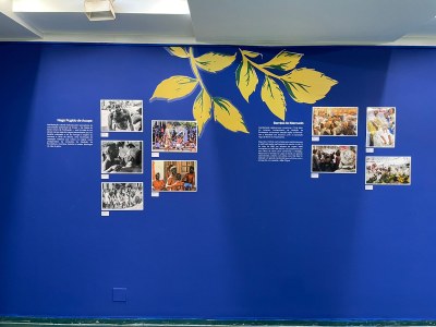 Umbigo do Recôncavo 17