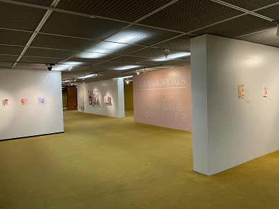 Desvaneios horizontal