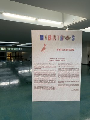 Híbridos novo 6