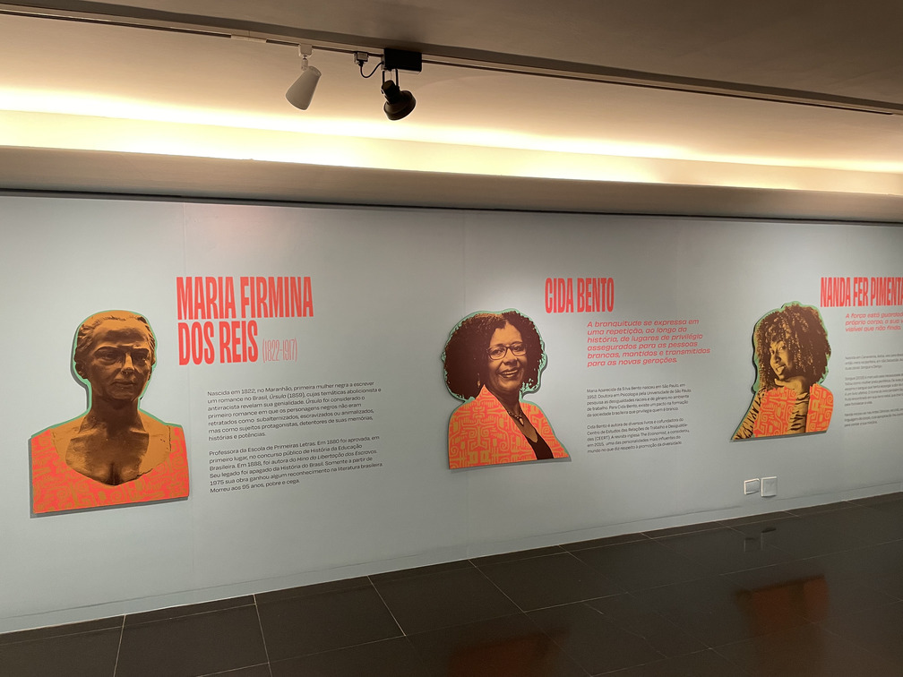 O pensamento negro no Brasil 14