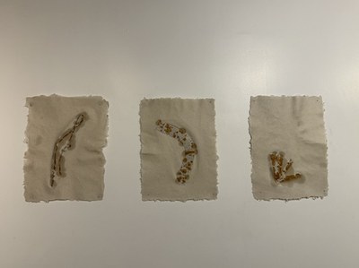 Concretos voadores foto 3