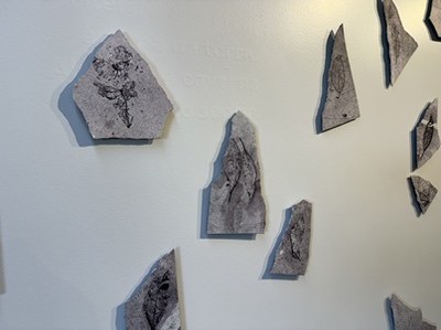 Concretos voadores foto 5